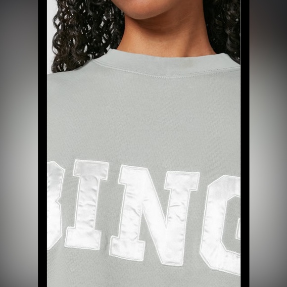 Anine Bing Tyler Satin Bing Sweatshirt in Sage - Picture 4 of 11